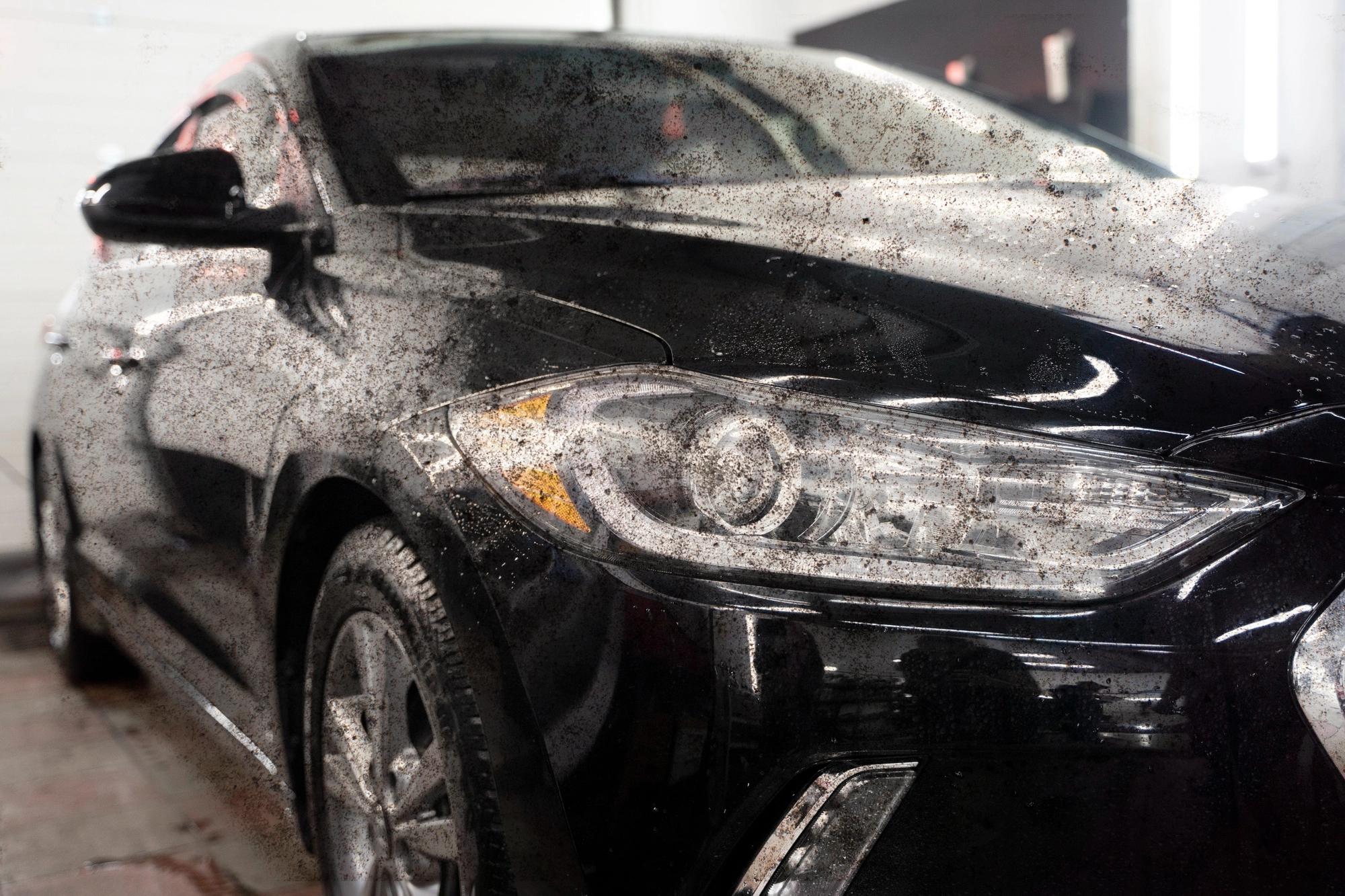 Before paint correction